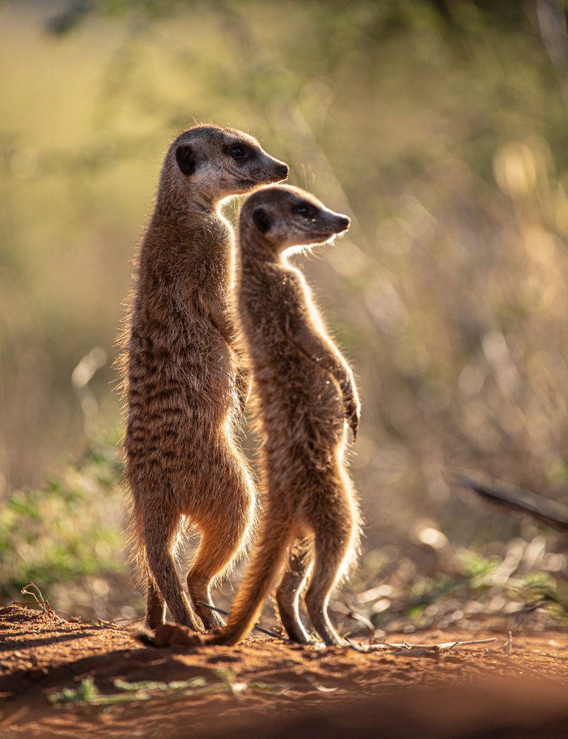 CONTACT US Dunelm Guestfarm