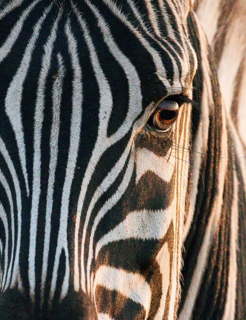 CONTACT US Dunelm Guestfarm